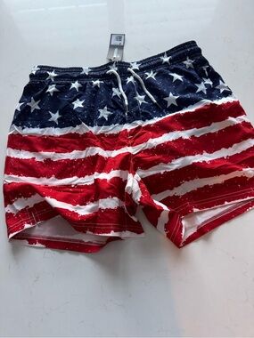 BRISIRA Mens Swim Trunks Bathing Suit 5 Inch inseam